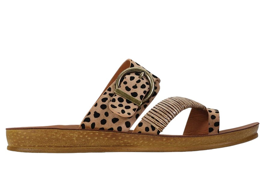 Los Cabos Bria Toe Strap Sandal - Women's