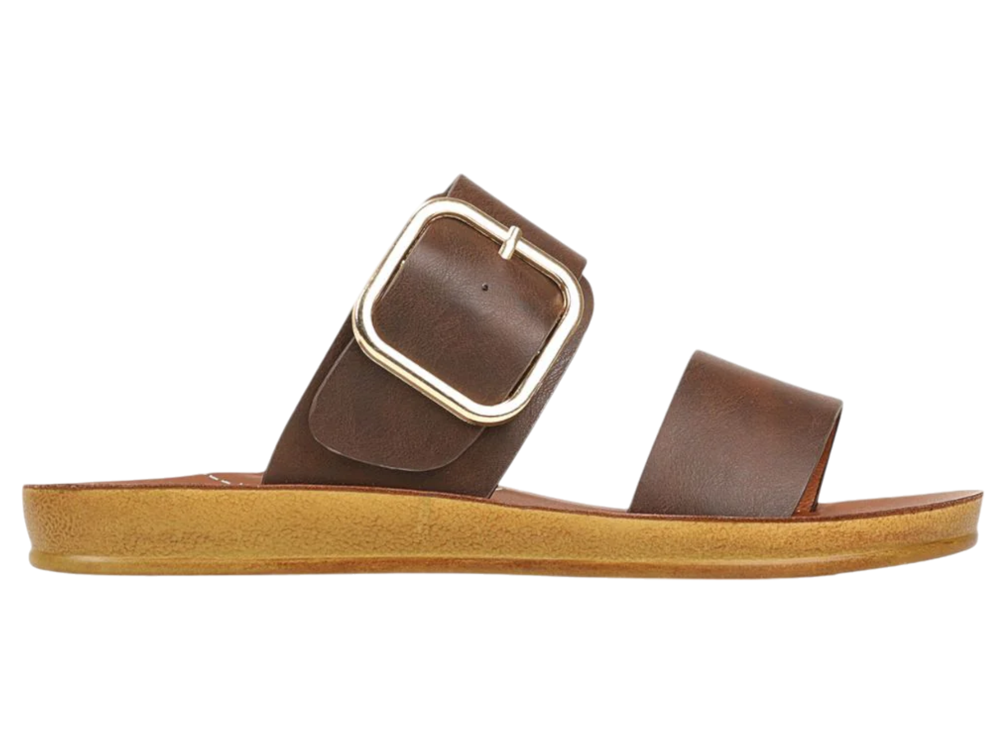 Los Cabos Doti Buckle Slide - Women's