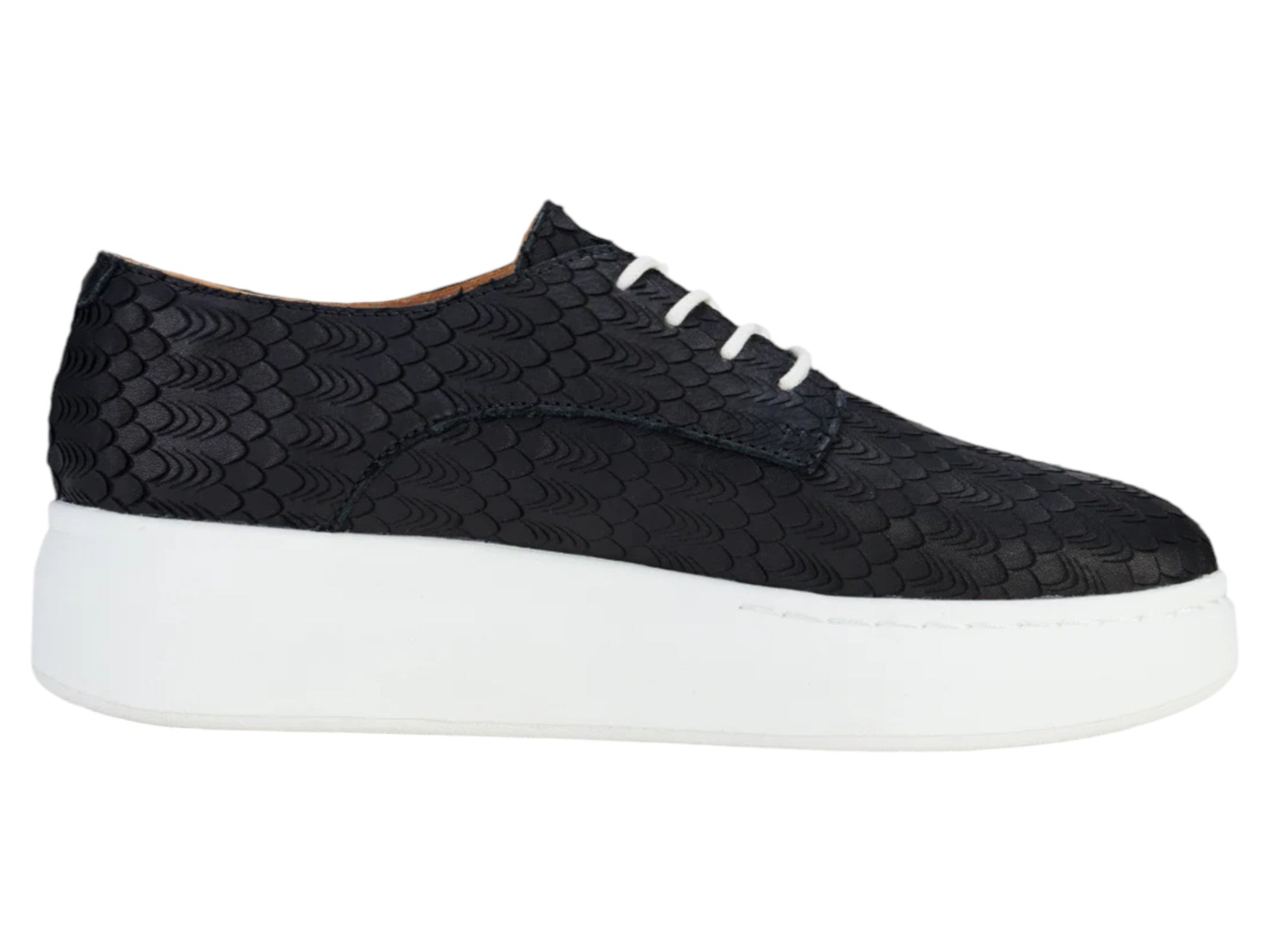 Rollie Derby City Sneaker - Women's