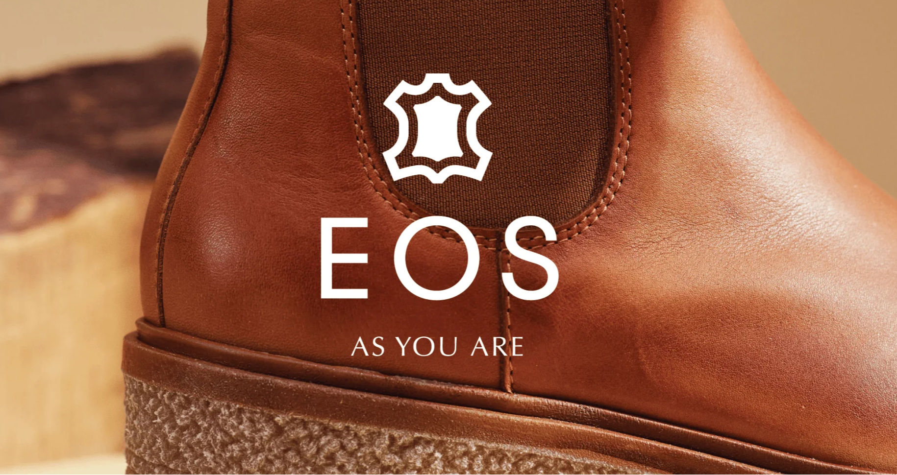 eos_logo.webp